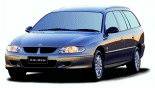 Large Auto Wagon